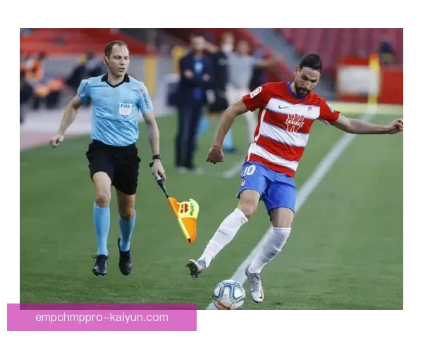 不来梅阵容深度分析呈现良好状态，整体竞争力增强